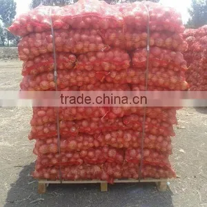 ONION SIZES ( 40 - 60 - 50 - 70 - 60 - 80 - up to 100 mm ) thumbnail-3