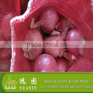 Red Onion Fresh Red Onion for Export thumbnail-3