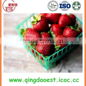 Wholesale for Sale Best Price Chinese Strawberry thumbnail-5