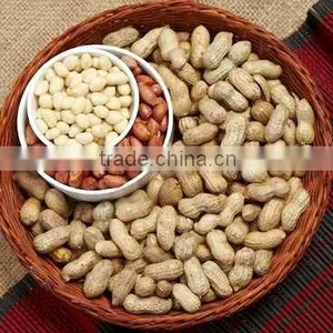 Peanuts thumbnail-1