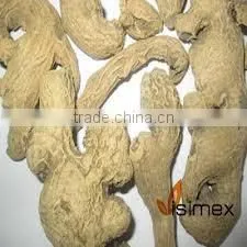 DRIED GINGER thumbnail-1