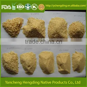 Creative Products ad Garlic Granule Top Selling Products in thumbnail-2