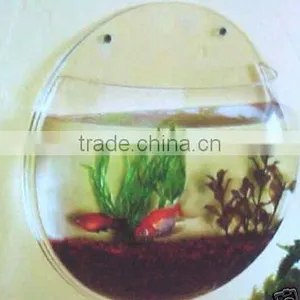 Fish Bowl thumbnail-1