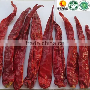 2015 New Crop Manufacturer Supplier Strictly Quality Control HACCP HALAL Dried Red Erjintiao Chile de Arbol for Mexico Market thumbnail-1