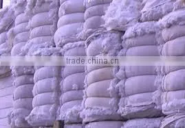Indian Organic Raw Cotton thumbnail-1