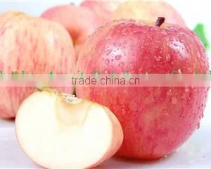 1-MCP, 10mL Works for 30 Cubic Meter Room of Apples thumbnail-1