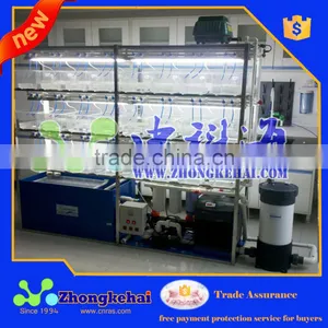 Intensive Culture of Zebrafish,Zebrafish Feeding Sysytem thumbnail-3