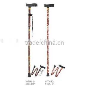 Walking Stick thumbnail-1