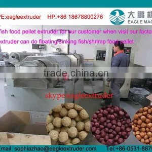Jinan Eagle 1ton/h Floating Fish Feed Processing Machinery thumbnail-4