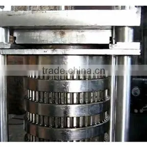 Nice Manufacturing Sesame Oil Extruder Machine With Strong Function thumbnail-5