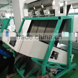 High Throughput Colored CCD Camera Paulownia Seeds Color Sorting/sorter Machine thumbnail-3