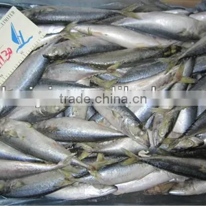 Frozen Mackerel 100-120g New Arival thumbnail-1