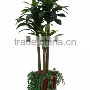 Artificial Mini Palm Trees and Palm Tree Landscaping thumbnail-5