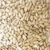 Salted and Roasted Sunflower Kernels thumbnail-1