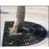 Tree Cover thumbnail-1
