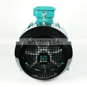 Electric Motor Y2 Series Three-Phase Induction Motor AC Motor thumbnail-7