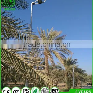 Bridgelux Chip COB Light Source Low Power Led Street Light thumbnail-1