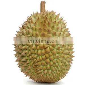 HIGH QUALITY FRESH DURIAN FROM VIET NAM thumbnail-1