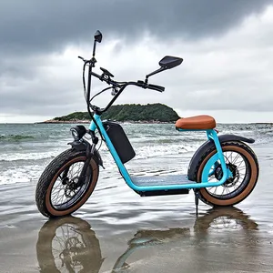 Two Wheels 1000W 20inch Fat Tire Electric Scooter thumbnail-3