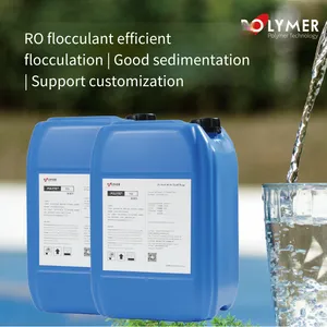 Baolaier Supplies Pipeline Flocculant Polyte705 for Reverse Osmosis System Pretreatment thumbnail-1