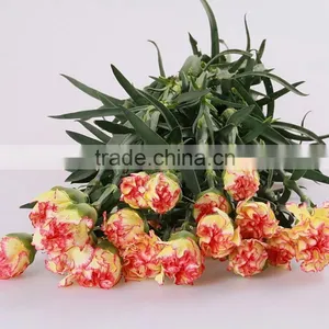 Good Quality Charming Bride Single Head Carnation Flower thumbnail-4