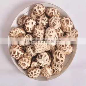 Dried Shiitake Mushroom thumbnail-1