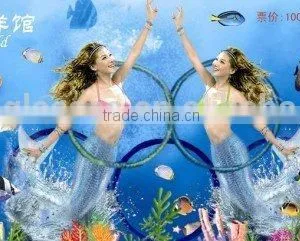 Memory Value 3D Lenticular Tickets for Parks, From 3D-WORLD Brand,TC-P02 thumbnail-2