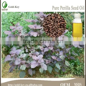 High Quality Perilla Seeds Extract, Perilla Seed Oil, Perilla Oil thumbnail-1