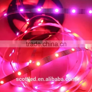 DC5V 60leds Led Rgb Strip IC Ws2813 Non-waterproof Led Strip Light thumbnail-4