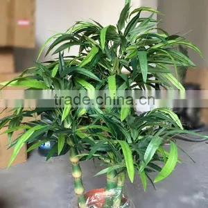 Artificial Bamboo Potted in Plastic Pot for Shopping Center Sales thumbnail-1