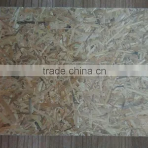 China Ossb thumbnail-1