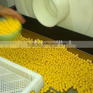 Large Production Capasity Paintball Making Machine thumbnail-5