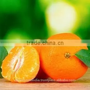 Tangerine Oil thumbnail-1