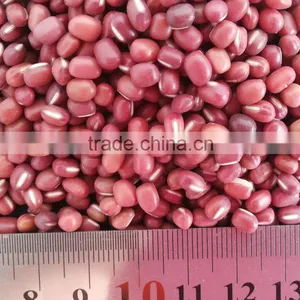 Chinese Small Red Beans(Adzuki) thumbnail-1