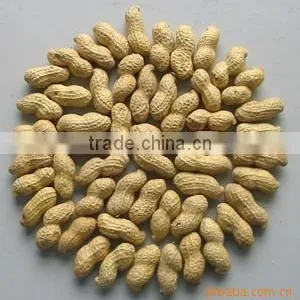 Cheap Price of Peanuts thumbnail-4