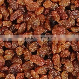 BEST RATE QUALITY INDUSTRIAL RAISIN FOR BEST RATE thumbnail-5