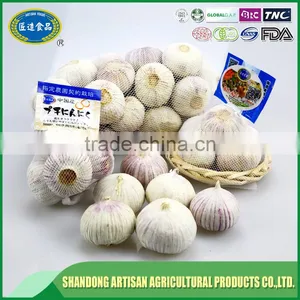 Fresh Single Clove Garlic thumbnail-5