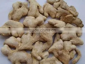 Organic Gan Jiang Extract Powder thumbnail-1