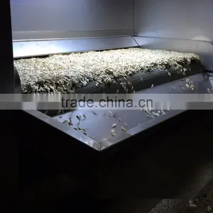 Roasted Sunflower Seeds thumbnail-1
