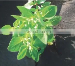Polypropylene Nonwoven Weedmat,non Woven Geotextile thumbnail-3