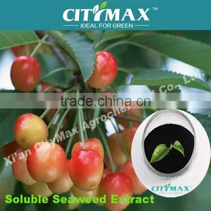 Alga Acid Water Soluble Fertilizer High Organic Matter and Alginic Acid thumbnail-1