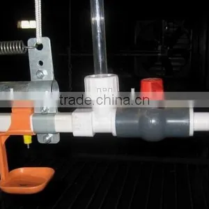 Chicken Broilers Feeding System With Automatic Drinking System thumbnail-1