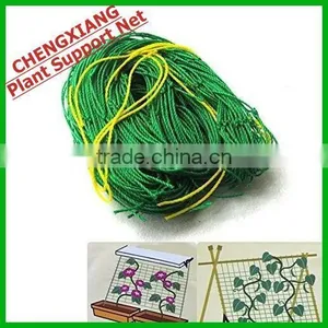 Plastic Vegetable Climbing Plant Support Mesh thumbnail-3