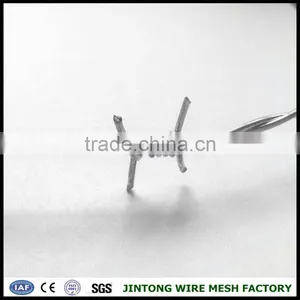 Single Strand Barbed Wire Double Strand Galvanized Barbed Wire Low Price Concertina Razor Barbed Wire thumbnail-1