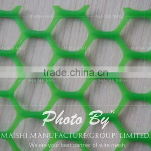 425gsm HPE Plastic Wire Mesh thumbnail-4