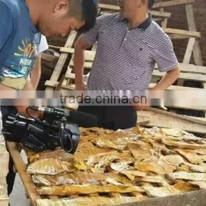 Catfish Drying Machine Fish Dryer thumbnail-5