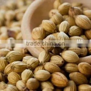 Coriander Seeds thumbnail-2