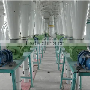Manufacturer of Screw Wheat Brusher to Remove Bran Ash thumbnail-4