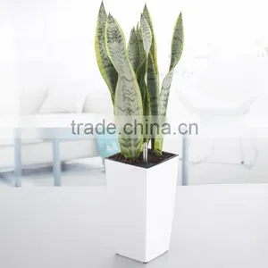 Hydroponics Flowerpot,square Planter,office Decorative Flower Pot thumbnail-1