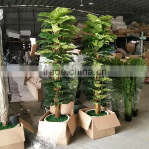 Decorative Artificial Plants Green Plants Wholesale thumbnail-2